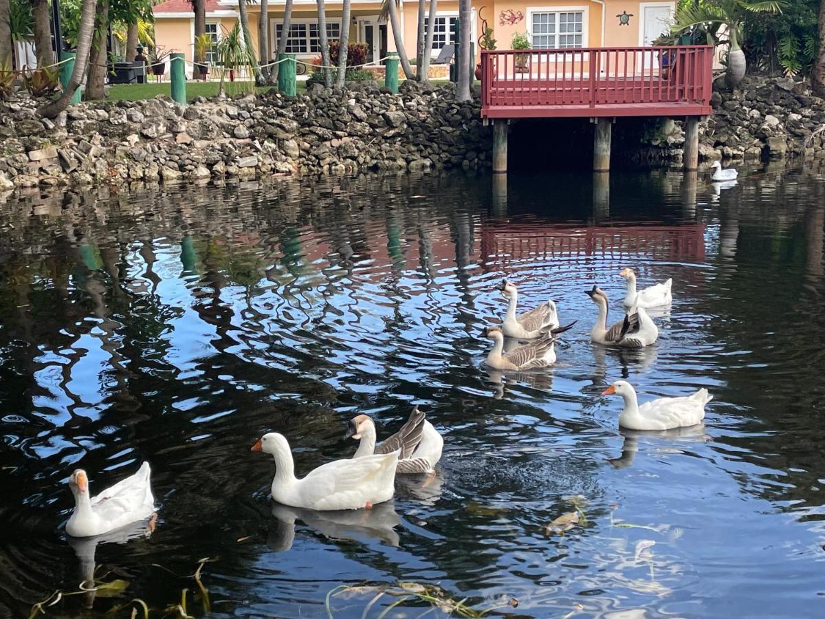 The Sanctuary House West Palm Beach Luaran gambar