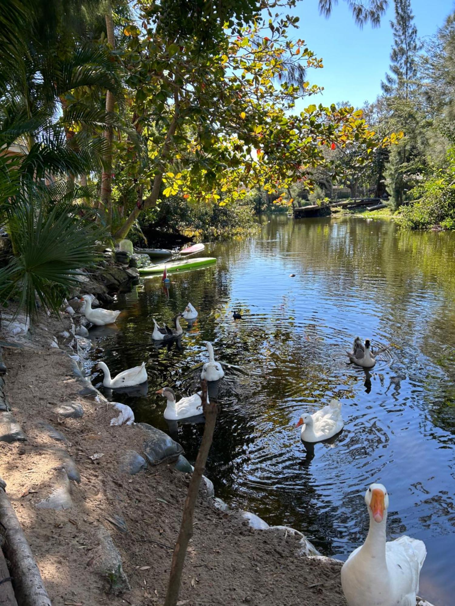 The Sanctuary House West Palm Beach Luaran gambar