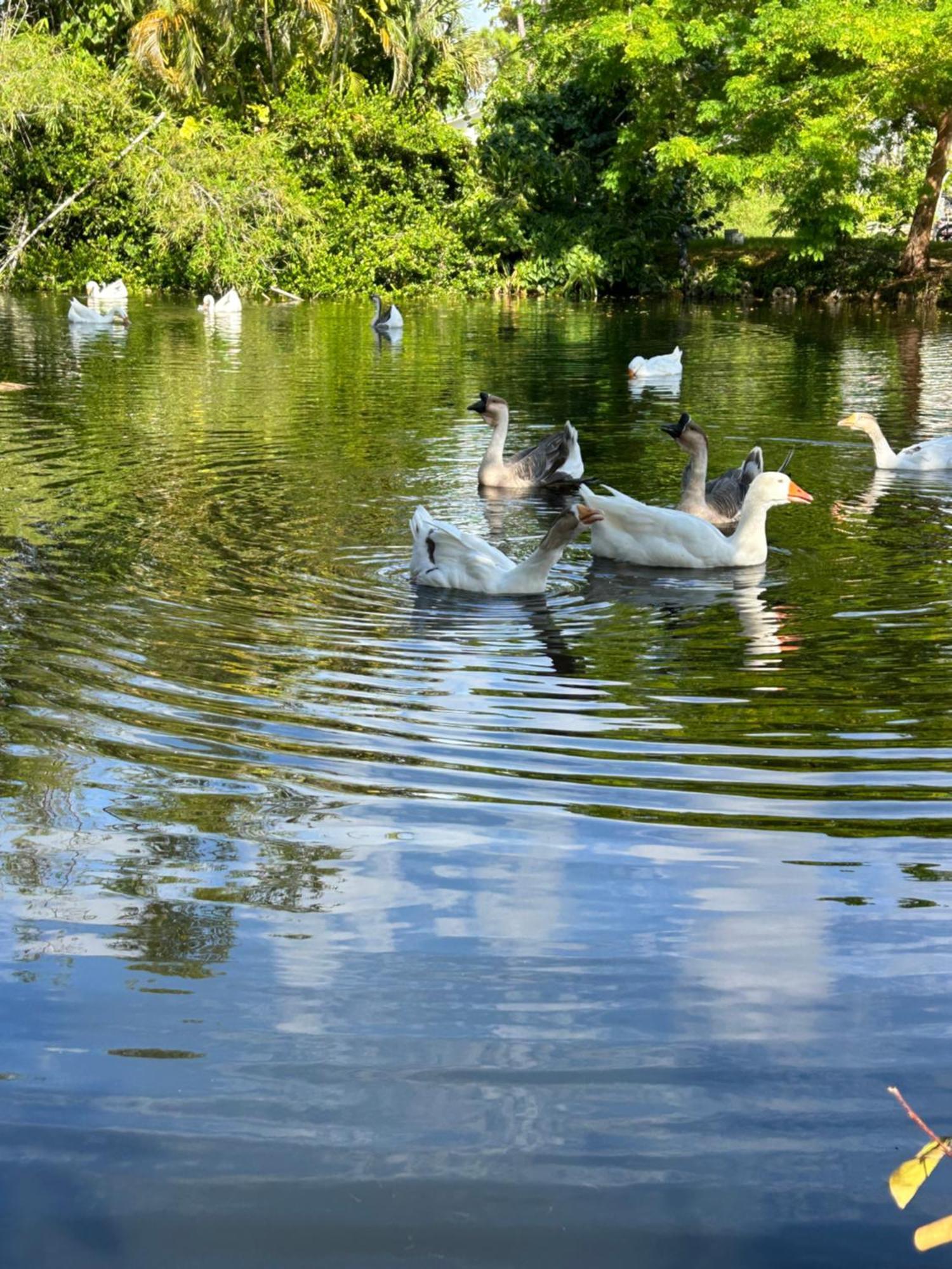 The Sanctuary House West Palm Beach Luaran gambar